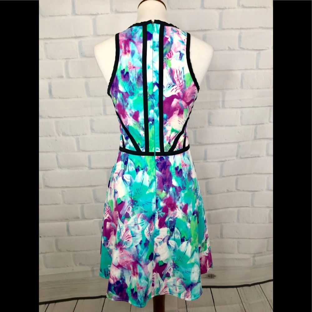 P A R K E R : “Shelby” Printed Contrast Dress View 5